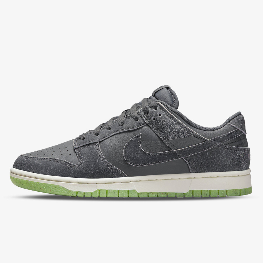 NIKE Pantofi Sport Dunk Low Retro PRM 